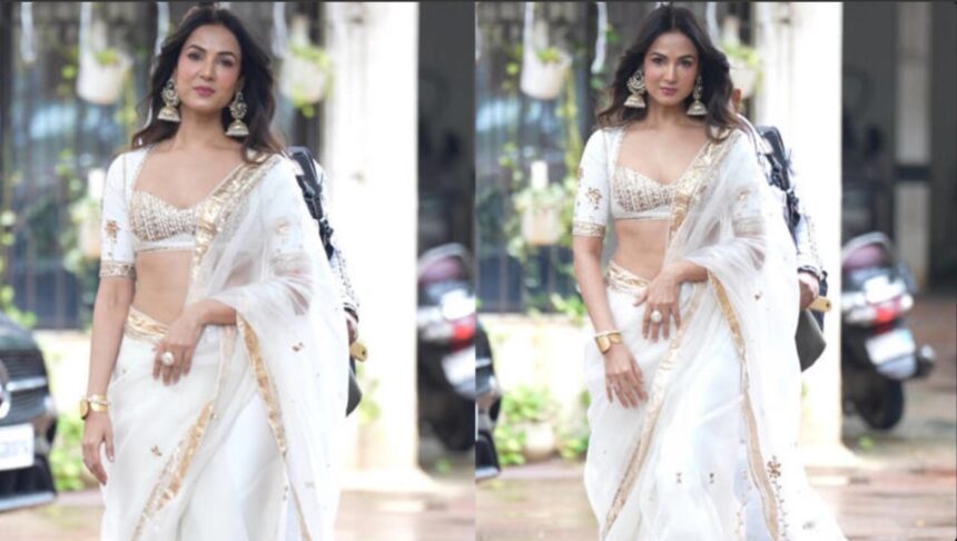 Sonal Chauhan’s White Organza Saree at Mirzapur: The Movie Trailer Launch Proves Less Can Be More 50 026 08 12 204427 Sonal Chauhan in a white organza saree at the Mirzapur The Movie trailer launch